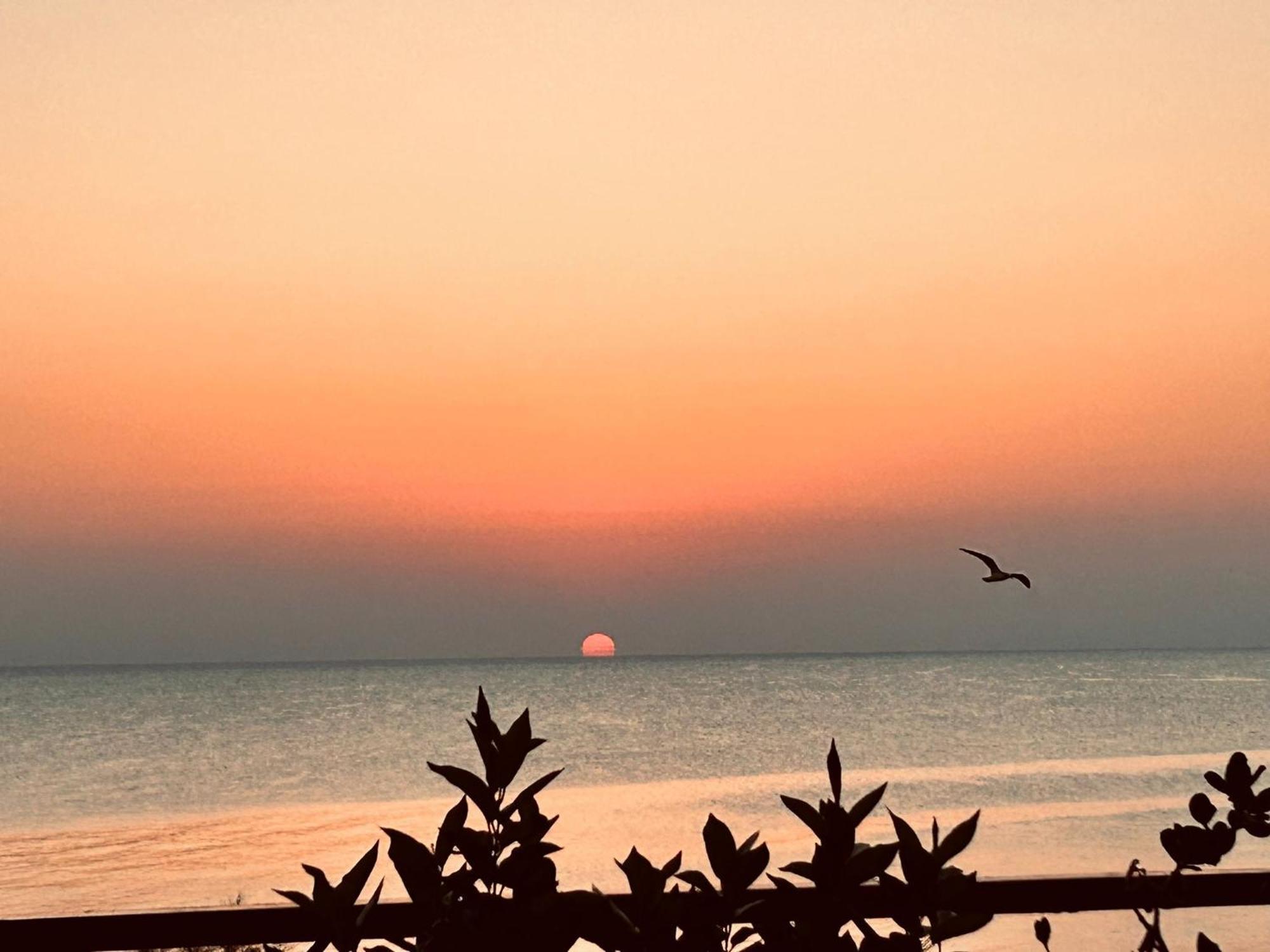 Hotel Dimora Alba Sul Mare Trani Zewnętrze zdjęcie